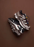 XT Quest marron